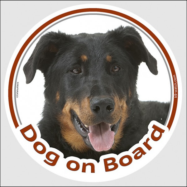 Sticker circle sticker "Dog on Board" 15 cm, Beauceron Head decal label adhesive French beach Shepherd