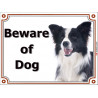 Portal Sign, 2 Sizes Beware of Dog, Border Collie black and white long hairs head plate door panel