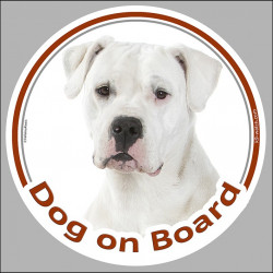 Dogo Argentino photo, circle sticker "Dog on board" label decal car notice