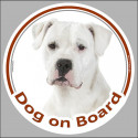 Dogo Argentino, circle sticker "Dog on board" 15 cm