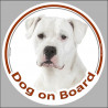 Dogo Argentino photo, circle sticker "Dog on board" label decal car notice