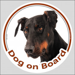 Dobermann Head, circle sticker "Dog on board" label decal car photo notice black and tan
