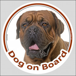 Circle sticker "Dog on board" 15 cm, Black Mask Dogue de Bordeaux Head, french mastiff decal label