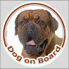Circle sticker "Dog on board" 15 cm, Black Mask Dogue de Bordeaux Head, french mastiff decal label