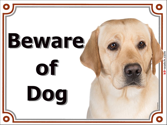 Dog Sign Plaque Beware Labrador on Duty Yellow Dog Metal 20 x 27cm 