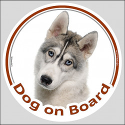 Circle sticker "Dog on board" 15 cm, Grey Siberian Husky Head decal label car