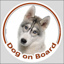 Circle sticker "Dog on board" 15 cm, Grey Siberian Husky Head