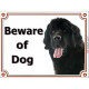 Black Newfoundland head, portal Sign "Beware of Dog" gate plate newfie photo