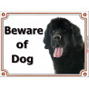 Black Newfoundland head, portal Sign "Beware of Dog" gate plate newfie photo