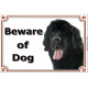 Black Newfoundland head, portal Sign "Beware of Dog" gate plate newfie photo