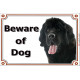 Portal Sign, 2 Sizes Beware of Dog, Black Newfoundland head, gate plate, newf