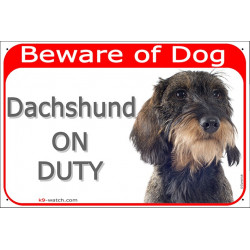 Red Portal Sign "Beware of Dog, Dachshund on duty" 24 cm