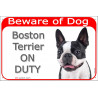 Portal Sign red 24 cm Beware of Dog, Boston Terrier on duty, Gate plate