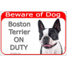 Portal Sign red 24 cm Beware of Dog, Boston Terrier on duty