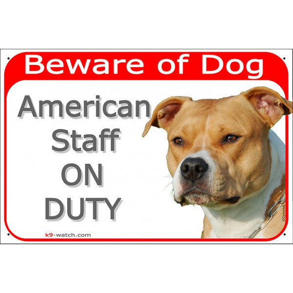 Red portal Sign red "Beware of Dog, Fawn Amstaff on duty" Gate plate American Staffordshire Terrier photo notice