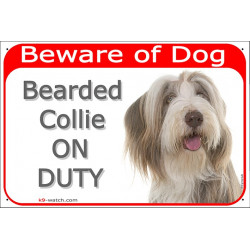 Portal Sign red 24 cm Beware of Dog, Brown Bearded Collie on duty