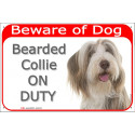 Portal Sign red 24 cm Beware of Dog, Brown Bearded Collie on duty