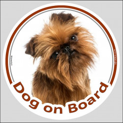 Brussels Griffon Head, car circle sticker "Dog on board" photo decal label Bruxellois Belge