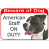 Red Portal Sign "Beware of Dog, Amstaff on duty" 24 cm
