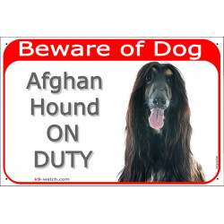 Portal Sign red 24 cm Beware of Dog, Black and Tan Afghan Hound on duty