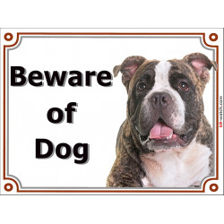 Brindle American Bully head, portal Sign "Beware of Dog" Gate plate photo notice