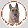 Belgian Laekenois, circle sticker "Dog on board" decal label shepherd belgium photo notice