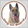 Laekenois, car circle sticker "Dog on board" 15 cm