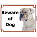 White American Bulldog head, portal Sign, "Beware of Dog" 2 Sizes