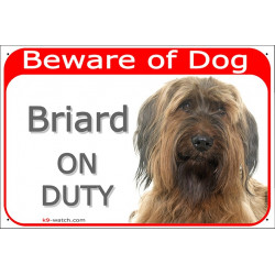 Portal Sign red 24 cm Beware of Dog, Fawn Briard on duty, Gate plate Berger de Brie placard panel