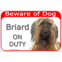 Red Portal Sign "Beware of Dog, Fawn Briard on duty" 24 cm