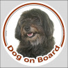 Circle sticker "Dog on board" 15 cm, Black Pyrenean Shepherd Head, Decal adhesive label berger des pyrenees