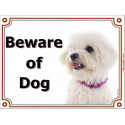 Bichon Frise head, portal Sign "Beware of Dog" 2 Sizes A