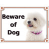 Portal Sign, 2 Sizes Beware of Dog, Bichon Frise Tenerife head, gate plate