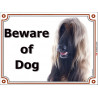 Portal Sign, 2 Sizes Beware of Dog, red black mask Afghan Hound head, Gate plate fawn persan greyhound