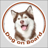 Circle sticker "Dog on board" 15 cm, Red Siberian Husky Head, label adhesive decal car copper light