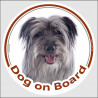 Circle sticker "Dog on board" 15 cm, Grey Pyrenean Shepherd Head, Decal car adhesive label blue silver, berger des pyrenees
