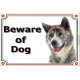 Portal Sign, 2 Sizes Beware of Dog, Brindle Japanese Akita Inu head, Gate plate, portal placard panel