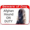 Portal Sign red 24 cm Beware of Dog, Fawn Red Afghan Hound on duty