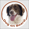 Circle sticker "Dog on board" 15 cm, Brown Liver and white Brittany Spaniel Head, Decal adhesive car label french