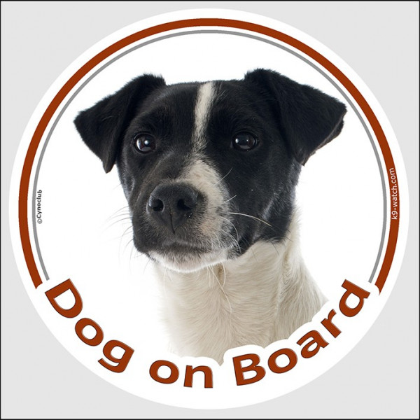 Circle sticker "Dog on board" 15 cm, Black and White Jack Russell Terrier Head, Decal adhesive car label