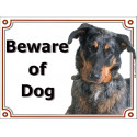 Harlequin Beauceron head, portal Sign "Beware of Dog" 2 Sizes