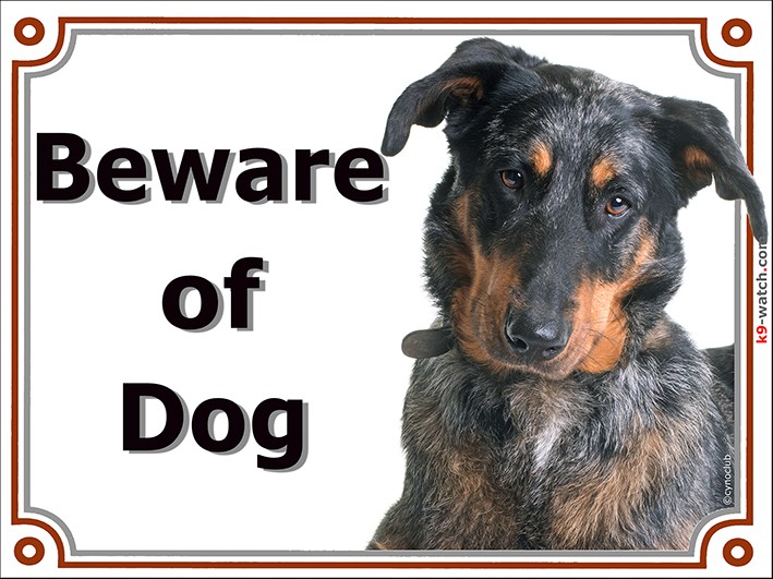 Harlequin Beauceron head, Gate Sign Beware of Dog plaque placard panel
