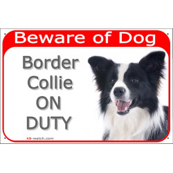 Portal Sign red Beware of Dog, Black and White Long Hair Border Collie on duty, Gate plate Scottish Sheepdog photo notice