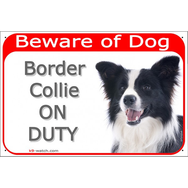 Portal Sign red Beware of Dog, Black and White Long Hair Border Collie on duty, Gate plate Scottish Sheepdog photo notice