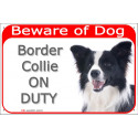 Red Portal Sign "Beware of Dog, Border Collie on duty" 24 cm