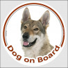 Czechoslovakian Wolfdog, car circle sticker "Dog on board" decal adhesive photo notice label Vlcak