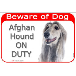 Portal Sign red 24 cm Beware of Dog, Silver Grey Afghan Hound on duty