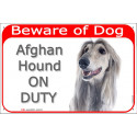 Portal Sign red 24 cm Beware of Dog, Silver Grey Afghan Hound on duty