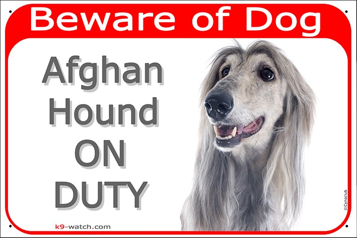 Silver Grey Afghan Hound Head, Gate Plaque Beware of Dog on Duty, sign,  placard, panel