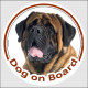 Circle sticker "Dog on board" 15 cm, Fawn Old English Mastiff Head, decal label adhesive car